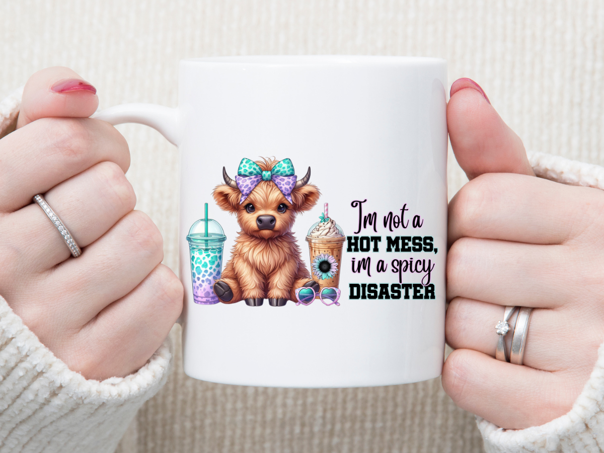 I'm Not a Hot Mess 11 oz Mug 2Face Graphics